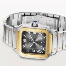 Cartier Santos de Cartier Stainless Steel & 18K Yellow Gold Men's Watch
