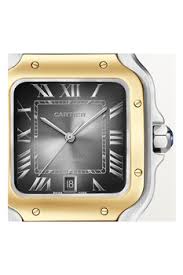 Cartier Santos de Cartier Stainless Steel & 18K Yellow Gold Men's Watch