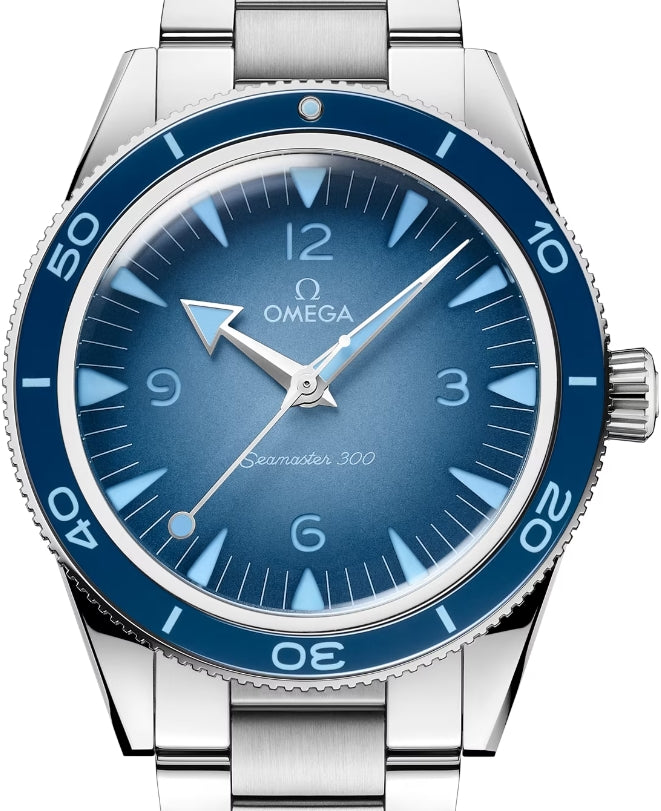 Omega Seamaster Heritage Co?Axial Master Chronometer Stainless steel & Ceramic Men's Watch