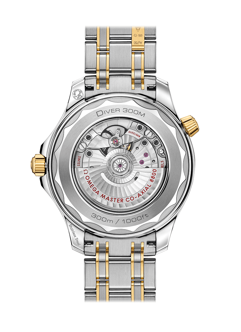 Omega Seamaster Diver Stainless steel & 18K Yellow Gold Men's Watch